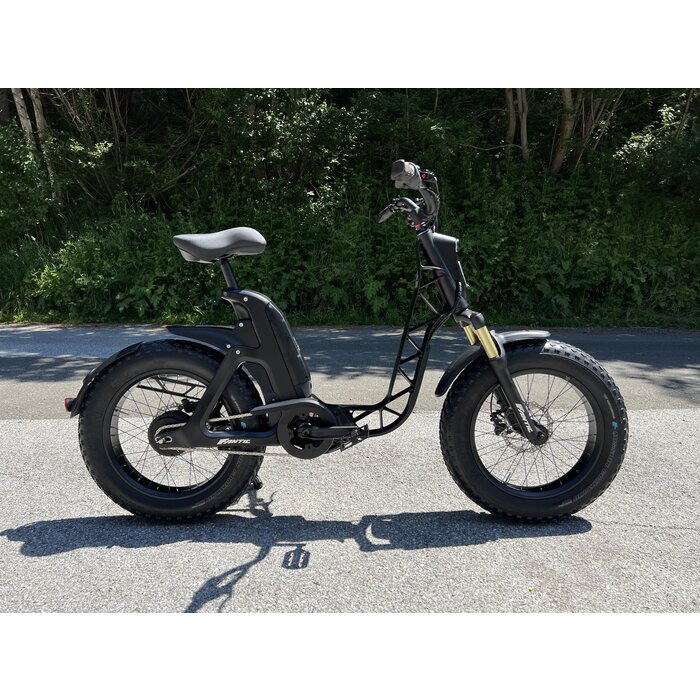 Fantic Elektro Fahrrad E-Mobility Issimo