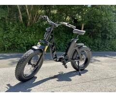 Fantic Elektro Fahrrad E-Mobility Issimo