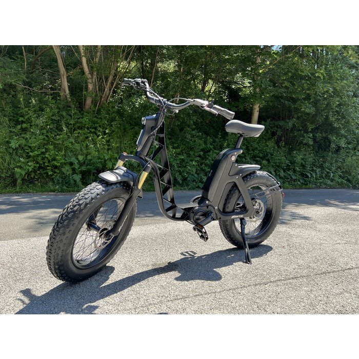 Fantic Elektro Fahrrad E-Mobility Issimo
