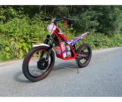 Beta Minitrial Elektro 20" XL