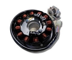 Beta Stator für Minarelli Motoren OE für Beta RR 50 Enduro Motard (AM6)