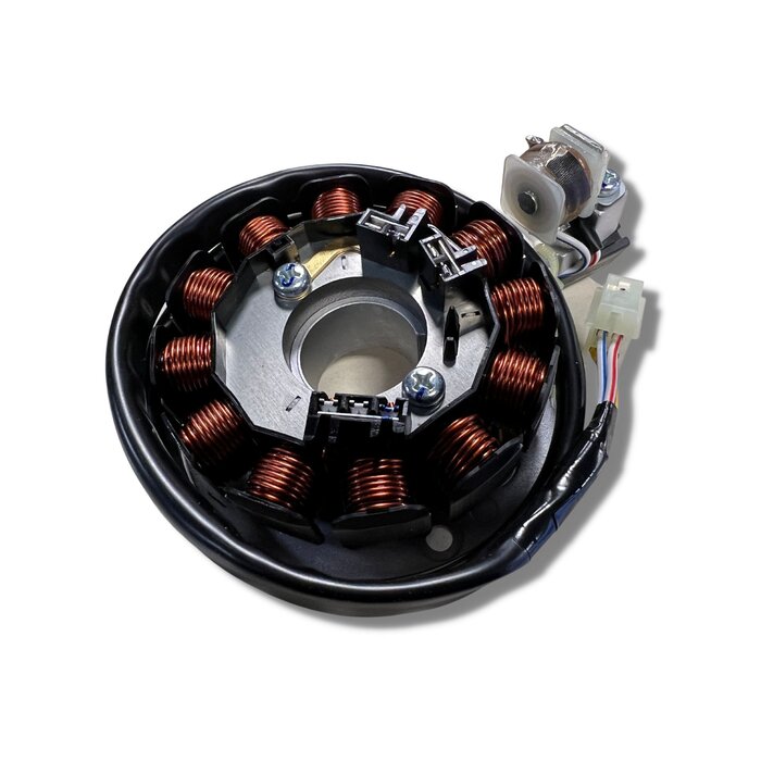 Beta Stator für Minarelli Motoren OE für Beta RR 50 Enduro Motard (AM6)