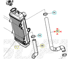 Beta Kühlerschlauch AM6 Beta RR50 Motard Bj. 21-25 Nr.16