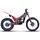 Trial EVO 250 2T Factory MY25