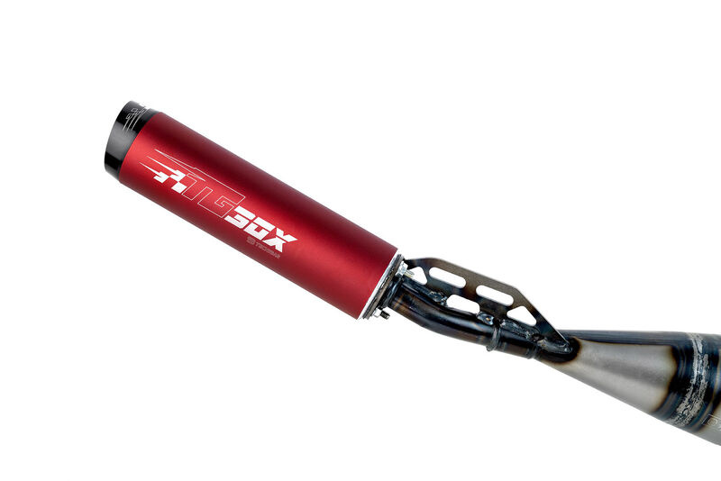 Tecnigas Auspuff Tecnigas E-Box für Beta RR 50 ab Bj-21 Homologiert mit ECE