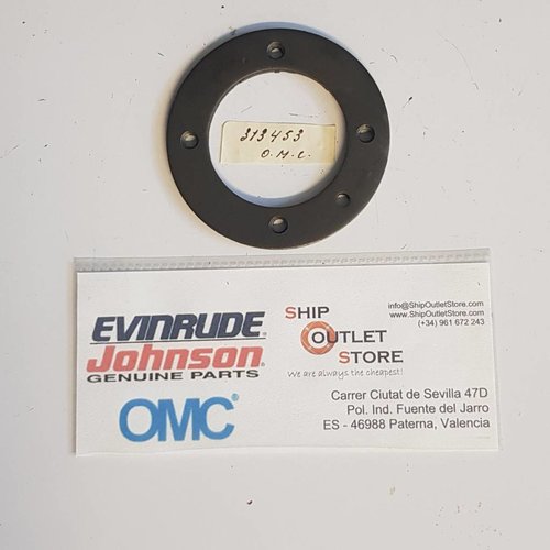 Placa de retención Evinrude Johnson OMC 313453