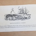 Old print in frame of "South Sea Whale Fishery ca. 1850" Dimensions 430 x 320mm