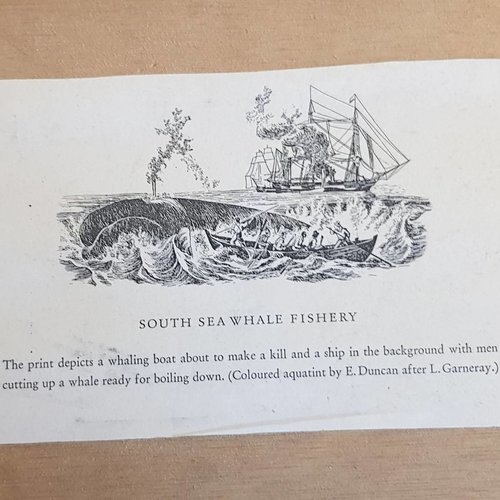 Grabado antiguo en el marco del "Pesquería de ballenas del mar del sur ca." Dimensions 430 x 320mm