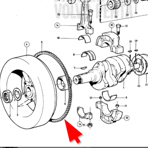 Volvo Penta Corona dentada del volante Volvo Penta 833489