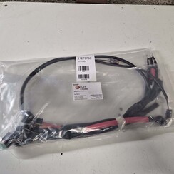 Wiring harness D1-D2 Volvo Penta 21273760
