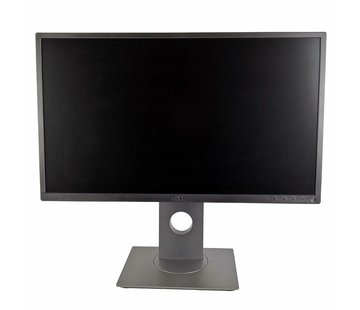 Dell Dell P2414Hb 24 'TFT monitor 1920 x 1080 DVI VGA monitor display