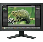 Eizo EIZO 24 "CG241W 61 cm Pantalla panorámica de 24 pulgadas TFT