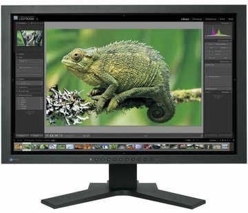 Eizo EIZO 24 "CG241W 61 cm 24 inch widescreen TFT monitor display