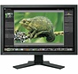 EIZO 24" CG241W 61 cm 24 Zoll widescreen TFT Monitor Display