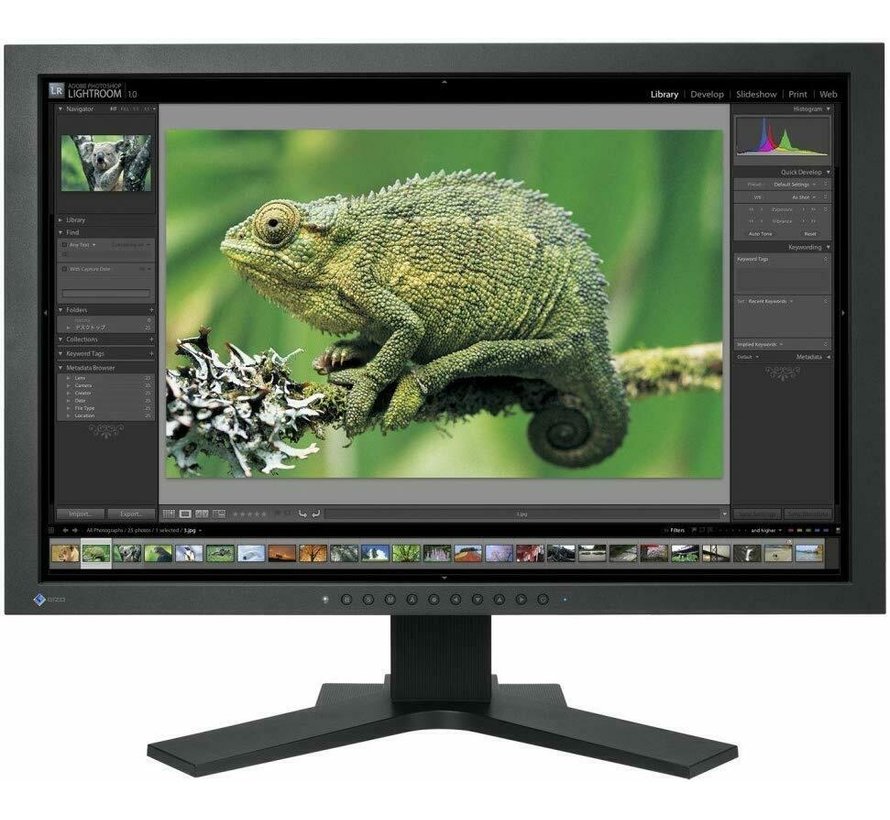 EIZO 24 "CG241W 61 cm 24 inch widescreen TFT monitor display