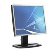 HP HP 1955 19" TFT Monitor Display DVI / analog mit Fuss