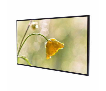 Litemax SLO4235-L Pantalla LCD TFT de 42 "Luz de fondo LED Legible con luz solar Full HD