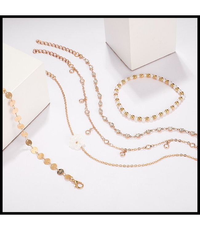 5 Delige Enkelketting