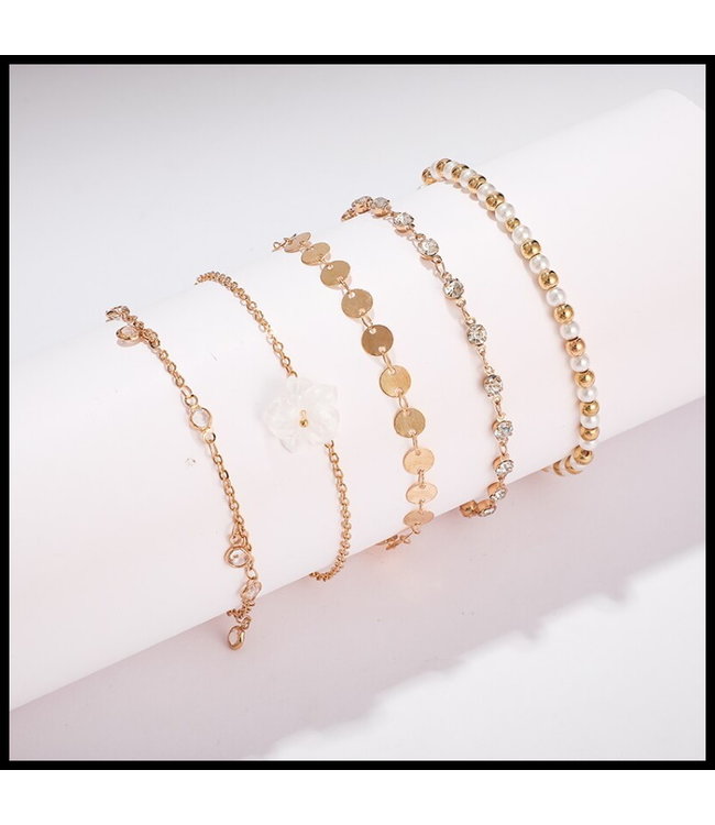 5 Delige Enkelketting