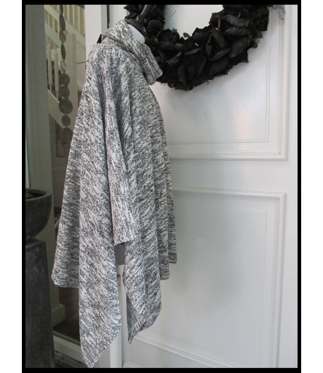 Grau Boris Schwitzer