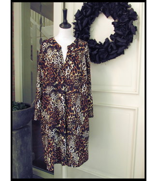 Brown Ophilia Dress