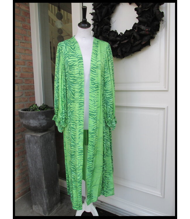 Green Kaftan