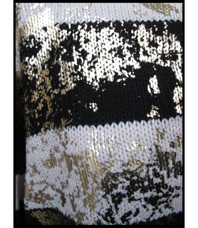 Schwarz Kiwi Schwitzer