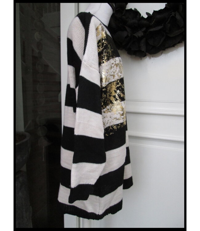 Schwarz Kiwi Schwitzer