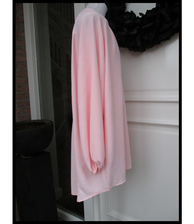 Roze Blouse