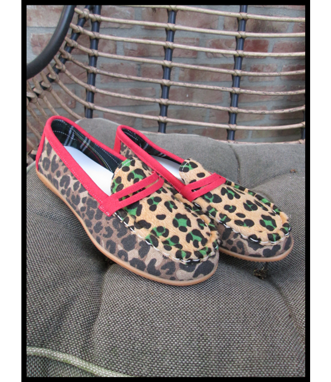 Sjieke schoenen mt 37/37,5