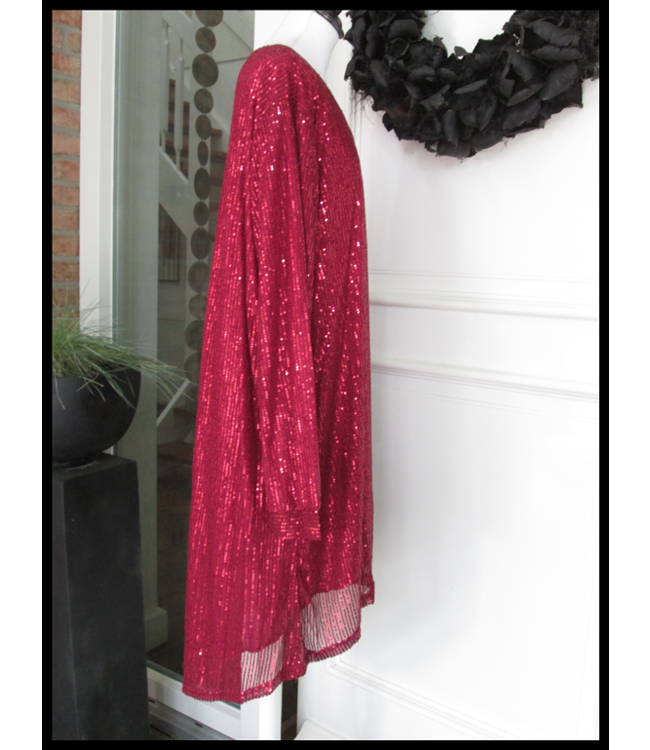 Pailletten Tuniek