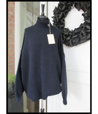 Melody Turtle Neck Trui