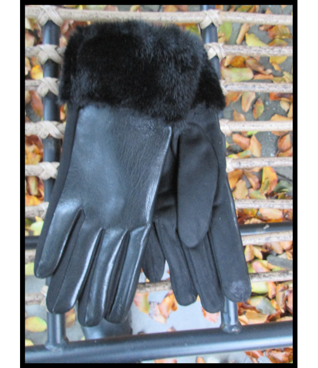 Schwarz Handschuhe
