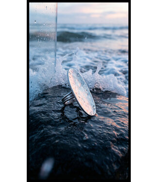 Hebbez Gave Grote Hebbez Ring