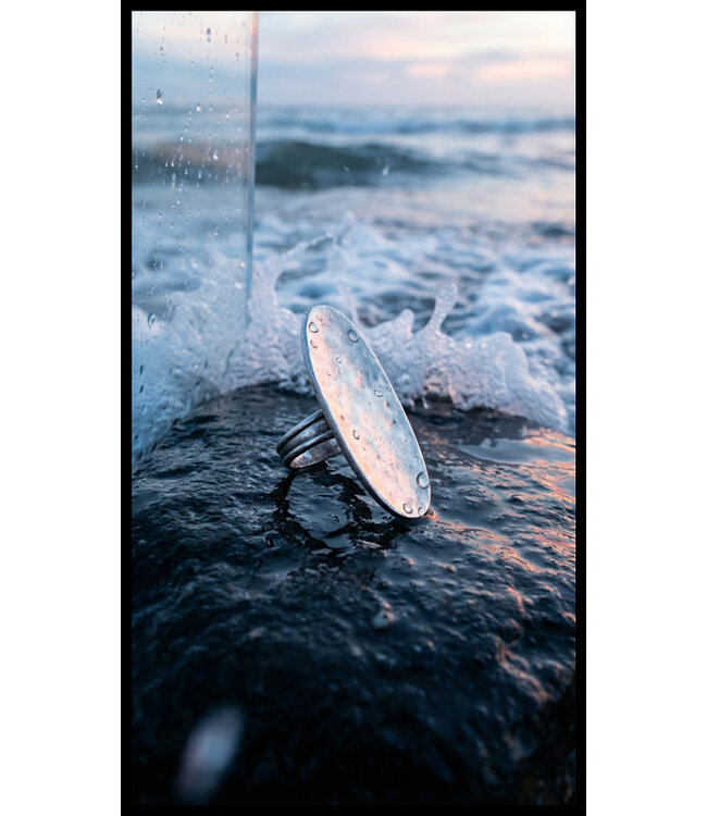 Gave Grote Hebbez Ring