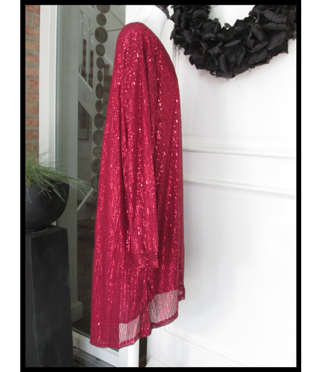 Pailletten Tuniek/Jurk