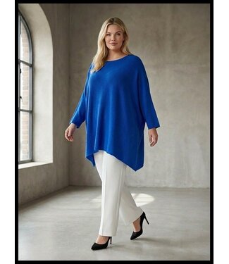 merkloos Blau Schwitzer