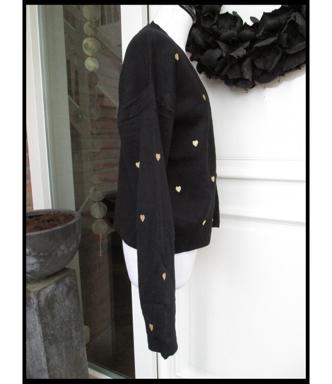 Gouden Hartjes Vest