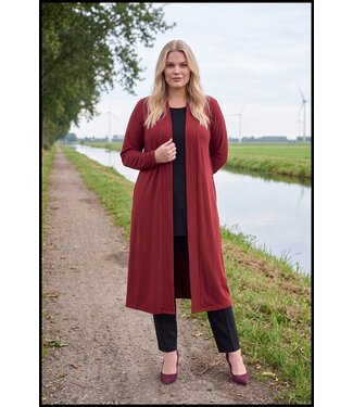 Magna Brown Magna Waistcoat