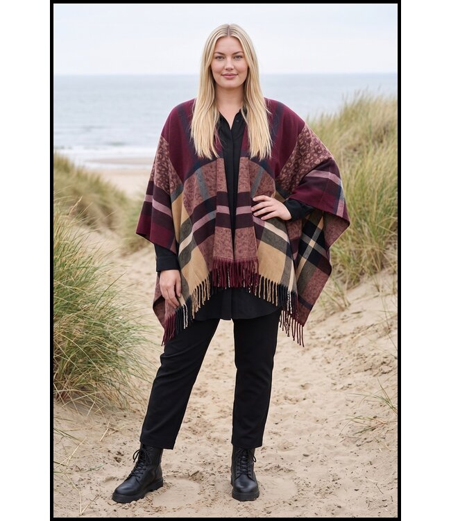 Sjieke Poncho