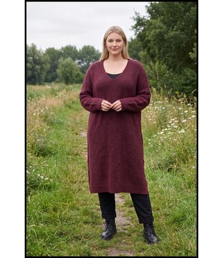 merkloos Rot Kleid