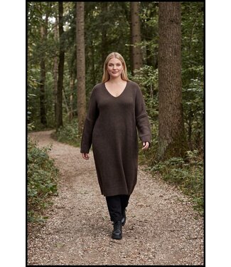 merkloos Braun Kleid