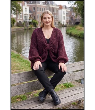merkloos Vlindermouw Trui