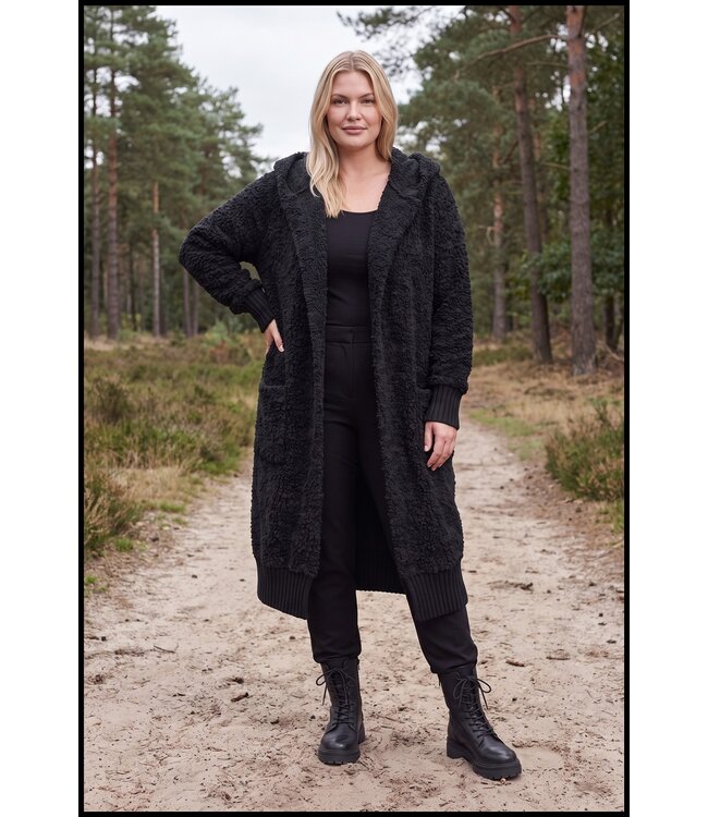 Bijzonder Mooi Vest