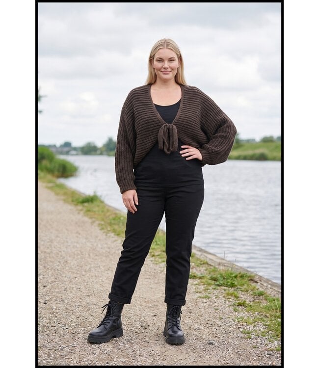 Brown Waistcoat