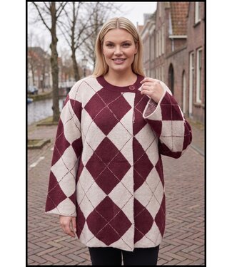 merkloos Sjieke Vest