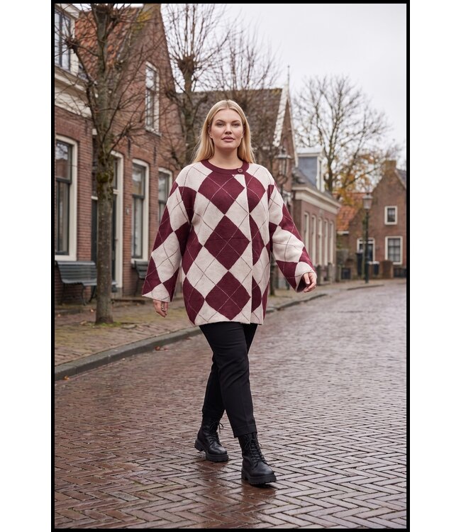 Sjieke Vest