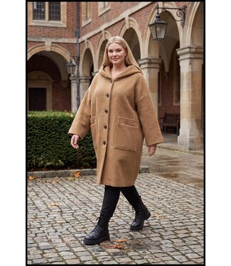 Normal Crazy Brown Normal Crazy Coat