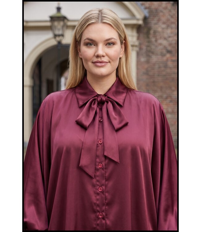 Red Blouse