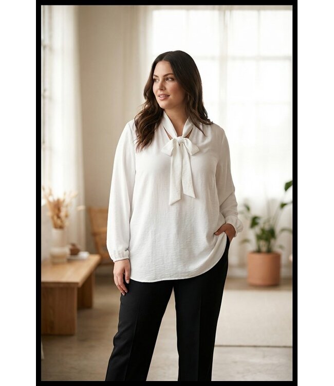 Sjiek Blouse